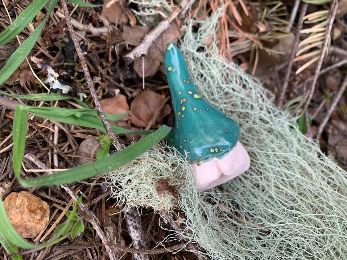 Kipper the Gnome