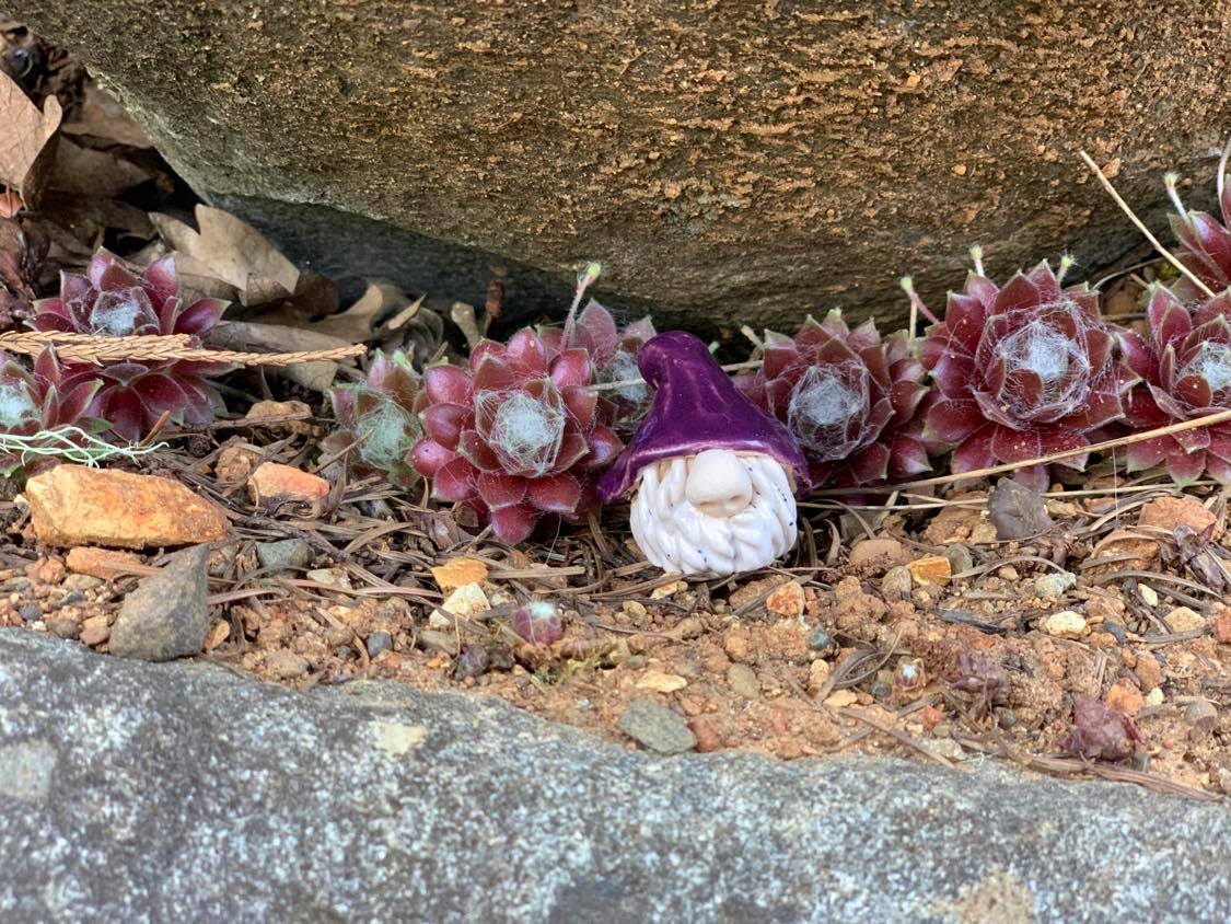 Spot the Gnome