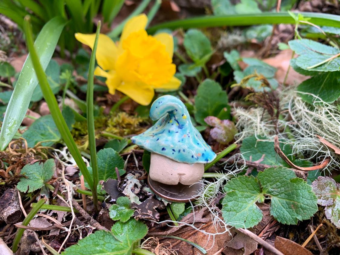 GNapoleon the Gnome