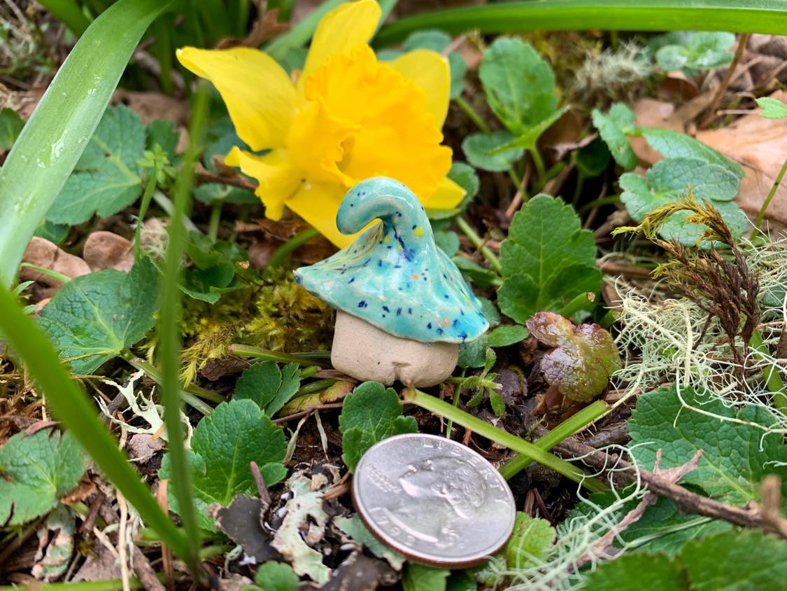 GNapoleon the Gnome