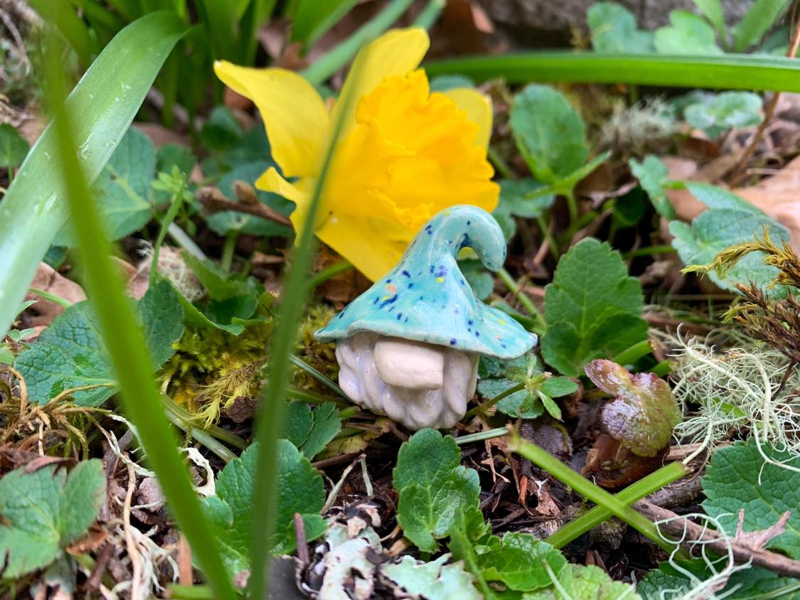 GNapoleon the Gnome