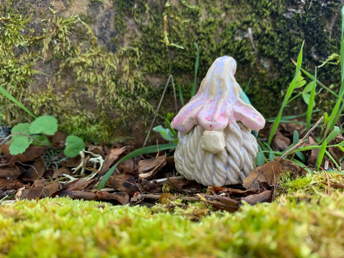 Petunia the Gnome