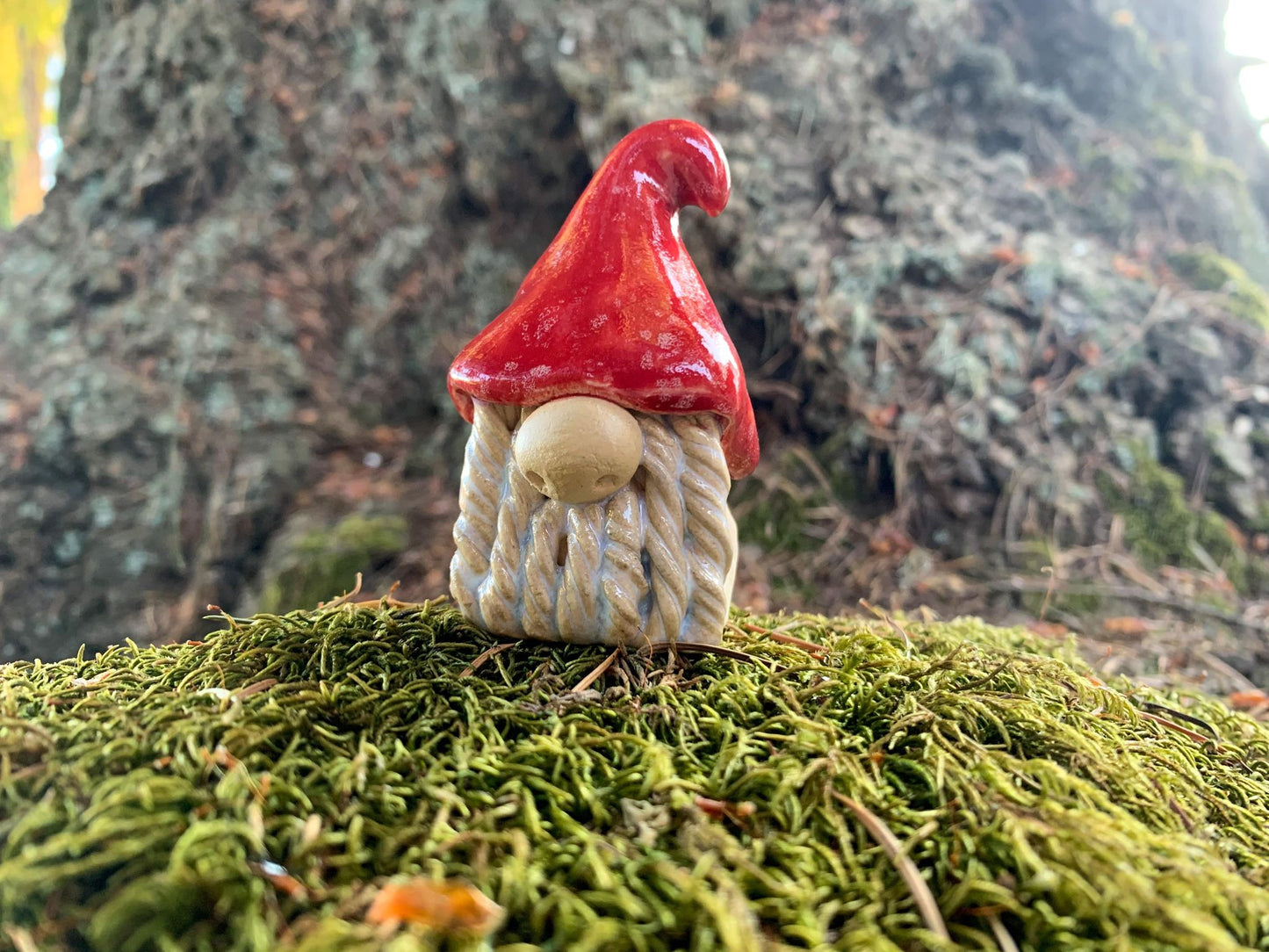 Wally the Gnome