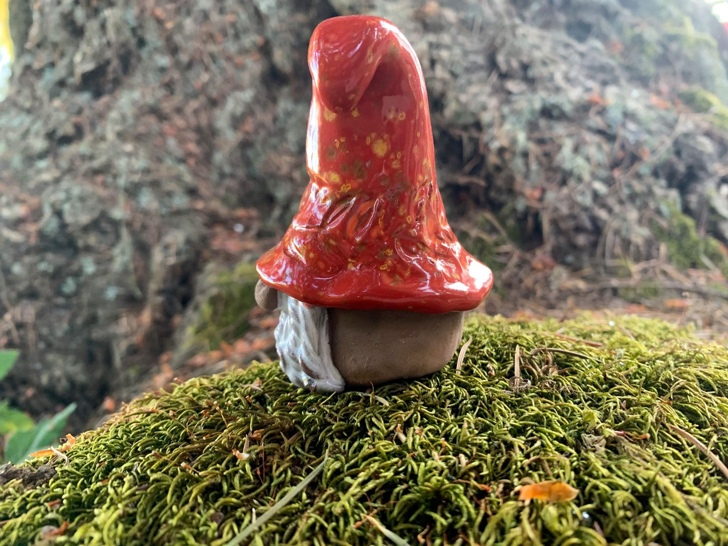 Confetti the Gnome